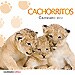 CALENDARIO CACHORRITOS 2012