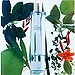 Eau d' Orlane