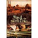 RED DE MENTIRAS