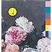 Power, corruption&lies