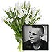 Ramo de Iris blanco y Disco de Eros Ramazzotti