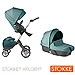 Coche de paseo Xplory Completo