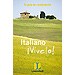 ITALIANO�V�VELO!