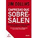 EMPRESAS QUE SOBRESALEN: POR QUÉ ALGUNAS SÍ PUEDEN MEJORAR LA RENTABILIDAD Y OTRAS NO