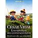 LAS ALFORJAS DEL CUENTACUENTOS: HISTORIAS PARA NI�OS QUE SER�N ADULTOS