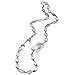 Collar de se�ora