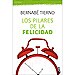 LOS PILARES DE LA FELICIDAD: CÓMO DISFRUTAR CADA MINUTO DE TU VIDA