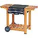 Barbacoa de carb�n