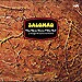 Salomao