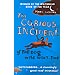 THE CURIOUS INCIDENT OF THE DOG IN THE NIGHT-TIME