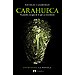CARAHUECA: INTRUDERS, LA NOVELA