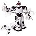 Robosapiens V2