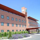 POSADAS DE ESPA�A PINTO