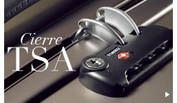 Cierre TSA