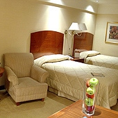 MELIA  BUENOS AIRES