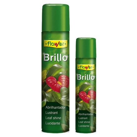 Image of Brillo Planta Natural 000943700278