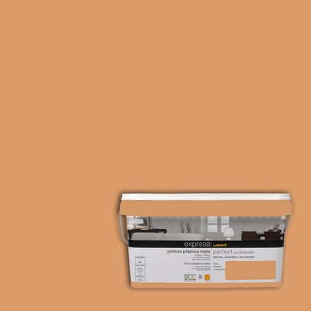 Image of Pintura Plástica Mate Perfect 001149007567