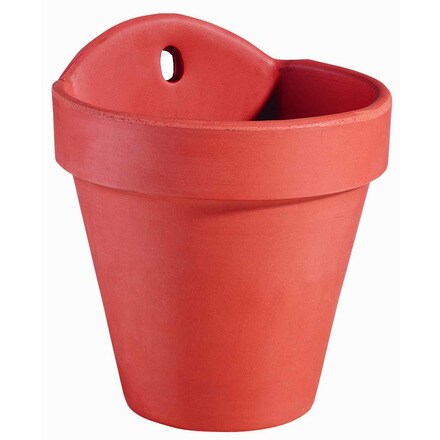 Image of Maceta Pared De Barro Rojo 000928000413