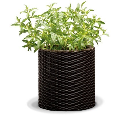 Image of Maceta Planter R Pq 000927007302