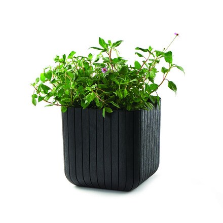 Image of Maceta Cube Planter 21,5l 000927007344