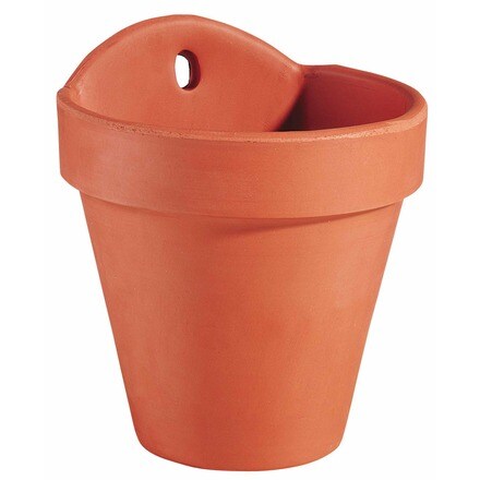 Image of Maceta Pared 16 000928002153