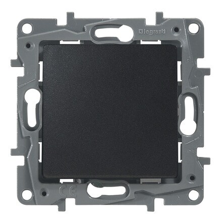 Image of Cruzamiento Niloe Grafito 000300103843