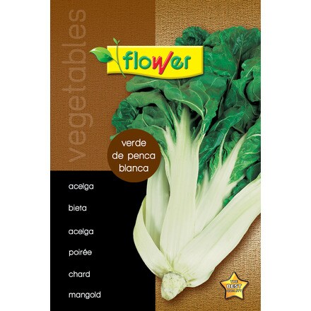 Image of Acelga Verde De Penca Blanca 000900103235