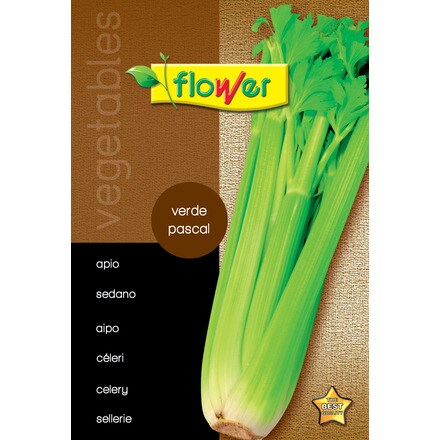 Image of Apio Verde Pascal 000900103276