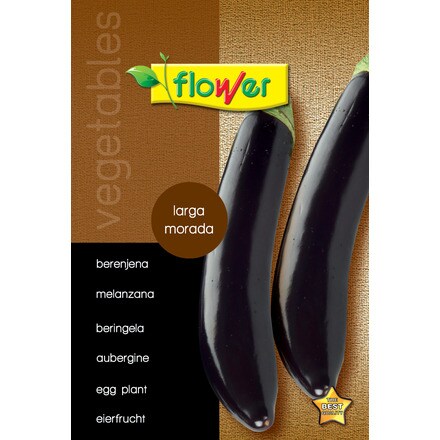 Image of Berenjena Larga Morada 000900103284