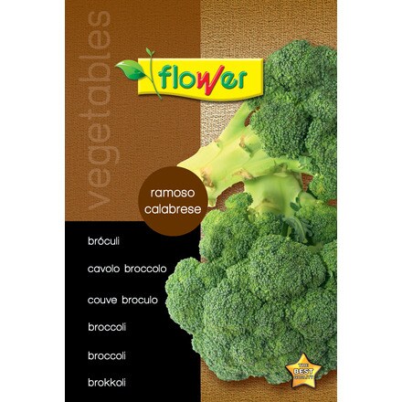 Image of Brocoli Ramoso Calabrese 000900103318