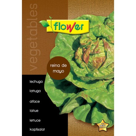 Image of Lechuga Reina De Mayo 000900103409