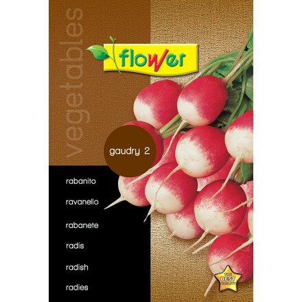 Image of Rabanito Gaudry 2 000900103458