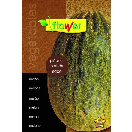 Image of Melón Piel De Sapo 000900103474