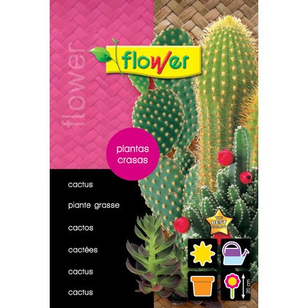 Image of Cactus Y Plantas Crasas Mix 000900103508