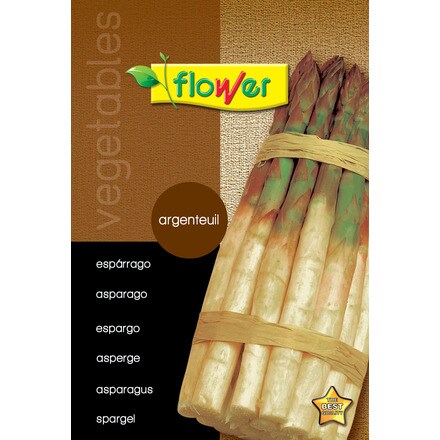 Image of Espárrago Argenteuil 000900103540