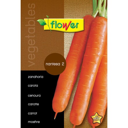 Image of Zanahoria Nantesa 2 000900103573