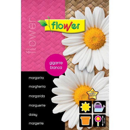 Image of Margarita Gigante Blanca 000900103607