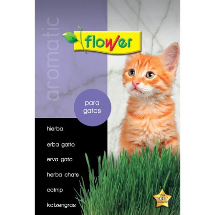 Image of Hierba Para Gatos 000900103615