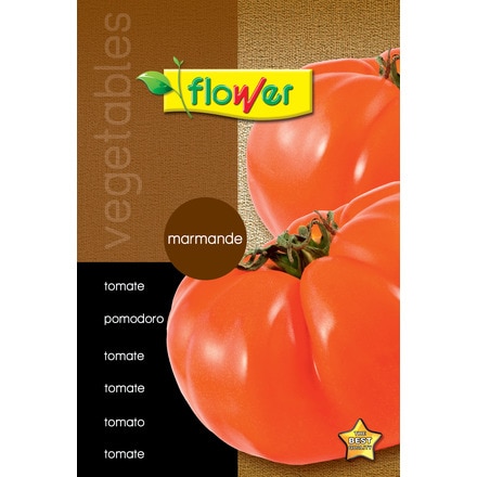 Image of Tomate Marmande 000900103631