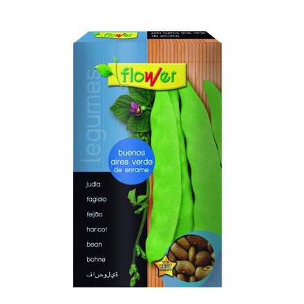 Image of Judia Buenos Aires Verde 000900103649