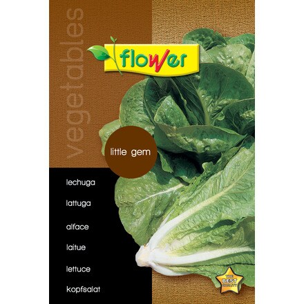 Image of Lechuga Little Gem 000900103698