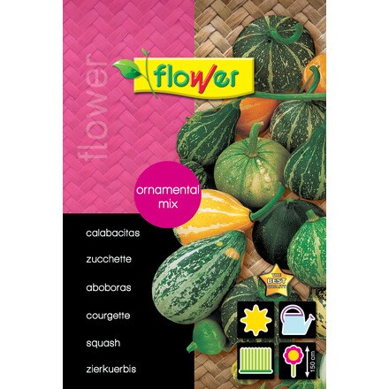 Image of Calabacitas Ornamental Mix 000900103763