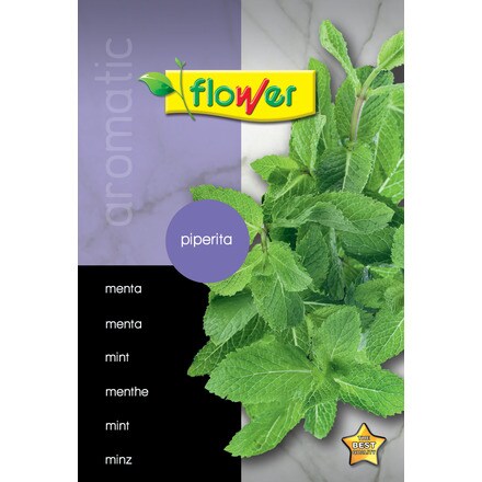 Image of Menta Piperita 000900103789