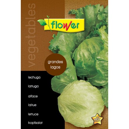 Image of Lechuga Grandes Lagos 000900103821