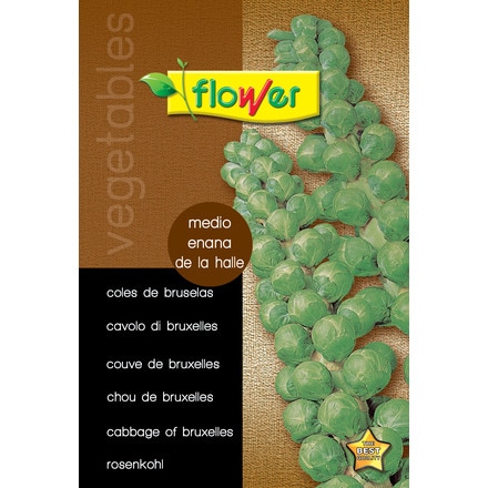 Image of Col De Bruselas Medio Enana 000900103847