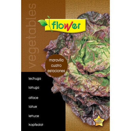 Image of Lechuga Maravilla Cuatro Estaciones 000900103862
