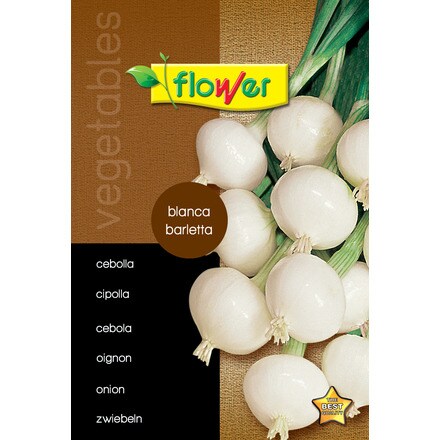 Image of Cebolla Blanca Barletta 000900103870