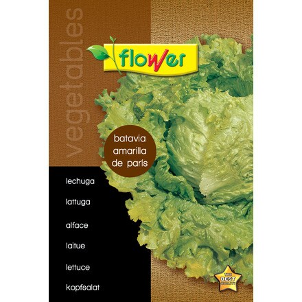 Image of Lechuga Batavia Amarilla De Paris 000900103912