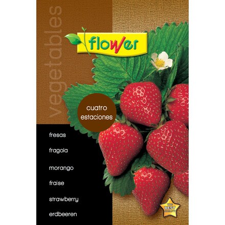 Image of Fresas Cuatro Estaciones 000900103946