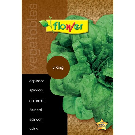 Image of Espinaca Viking 000900104035